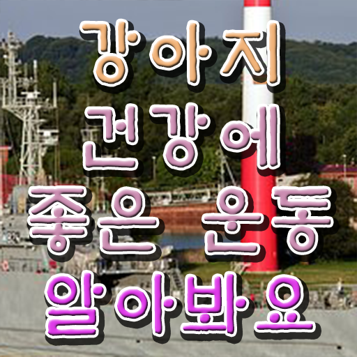  반려견운동지도사 온라인 교육 , 반려견운동지도사 1급,2급 동시에 취득한 노하우