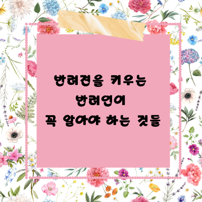  반려견을  잘 키우기 위해서 반려인이라면 꼭 해야 하는 일