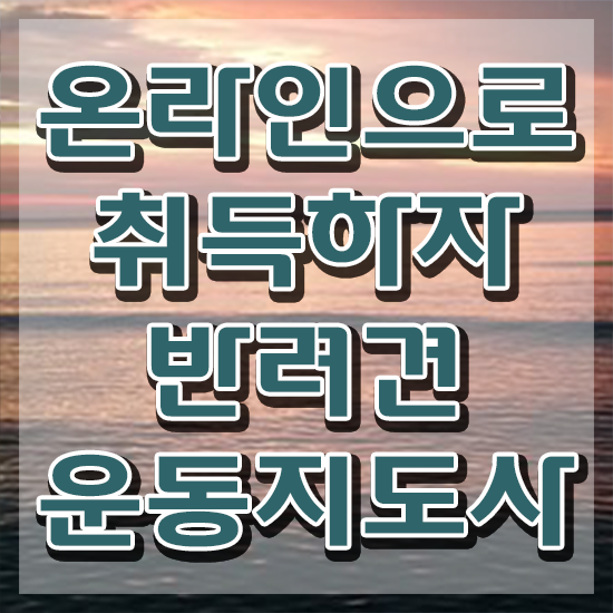  40대여성자격증 , 관련학과 아니어도 반려견운동지도사 취득 가능해요