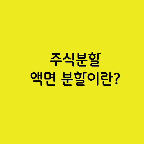  주식분할 액면 분할이란?