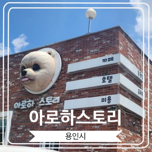  [아로하스토리] 넓은 운동장과 여러 부대시설을 갖춘 복합 애견카페