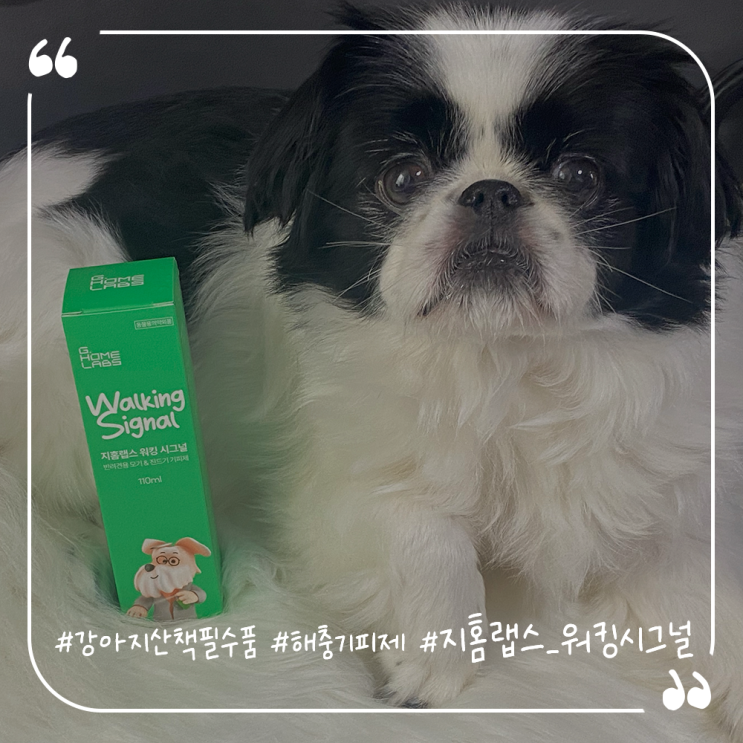  강아지진드기기피제 산책필수템 지홈랩스 워킹시그널
