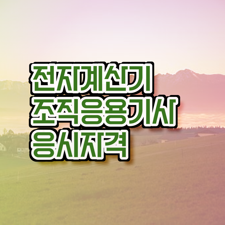  전자계산기조직응용기사 시험응시자격 독학으로 단기간에 준비한 비법
