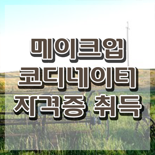  메이크업관련학과 , 메이크업코디네이터 자격증 한달 만에 합격한 전략 및 이후 전망
