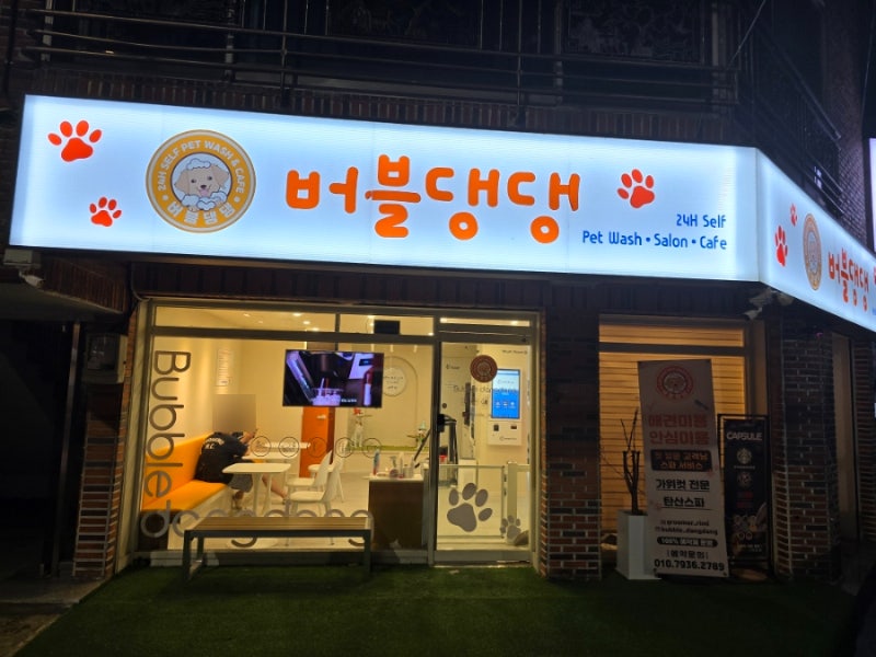 사진 6