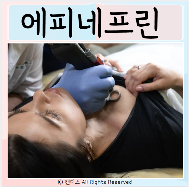  에피네프린 아나필락시스쇼크 원인 증상 치료