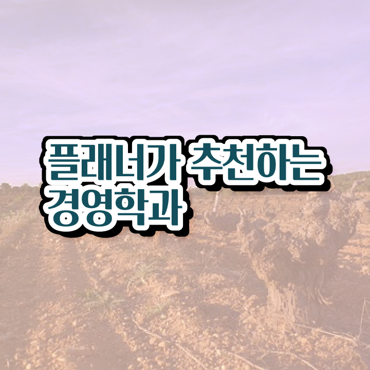  학점은행제 졸업증명서 대학진학, 경력없이 성공할 수 있어요