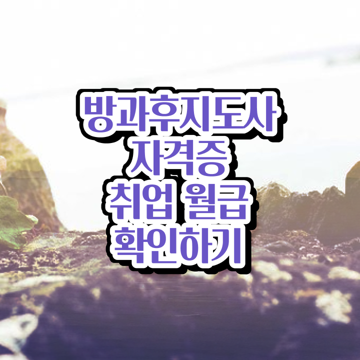  방과후컴퓨터강사 , 방과후지도사 취득했던 후기 , 온라인 과정