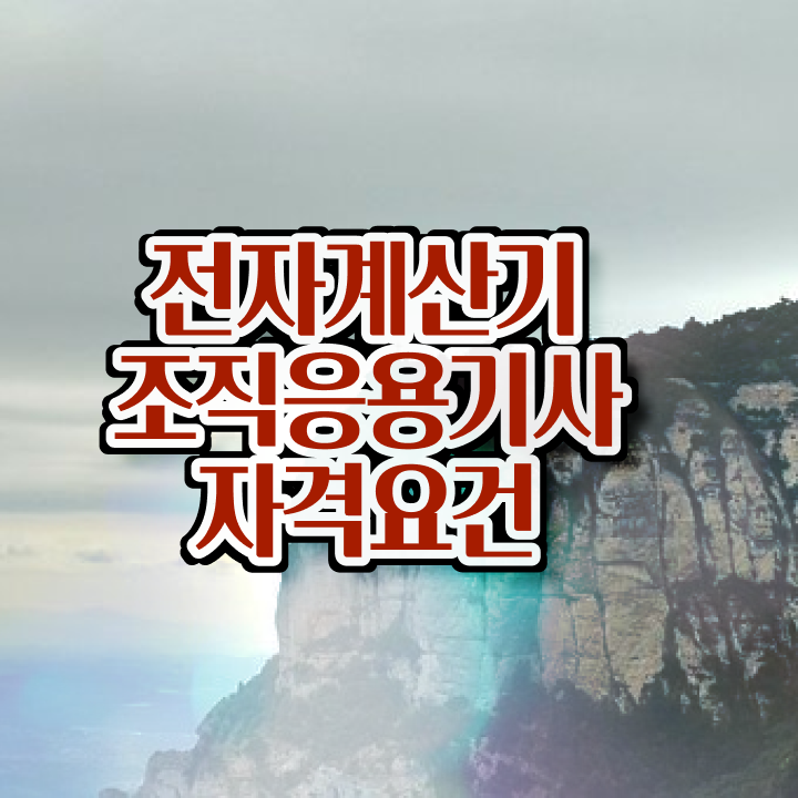  전자계산기조직응용기사 취득자격 학점은행제로 4개월 만에 준비한 팁