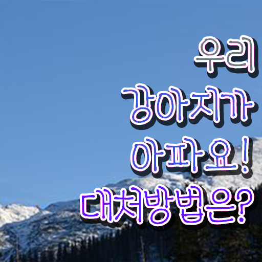  반려동물 직업 , 반려동물관리사 자격증 온라인으로 합격한 팁 , 취업