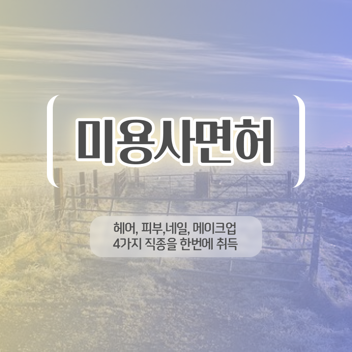  미용사 면허증 발급 , 미용사면허증 4달안에 취득한 노하우 공유