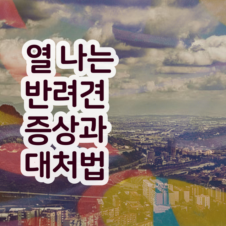  반려견행동분석 , 반려동물관리사 자격증 비용없이 온라인으로 시험준비 및 구직정보