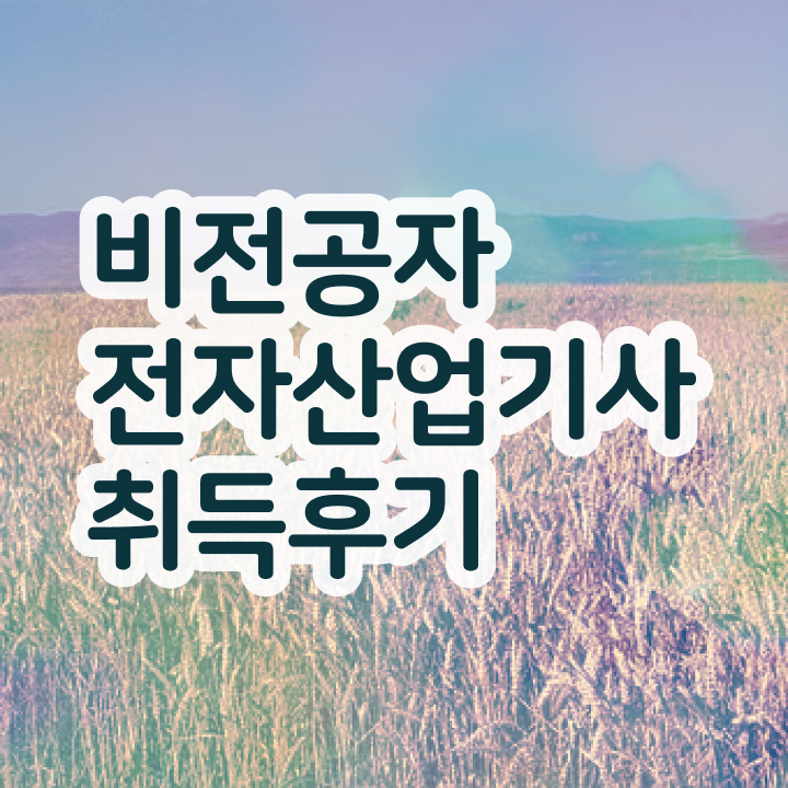  전자산업기사 필기 전자산업기사 자격요건 온라인 과정으로 15주만에 성공한 과정