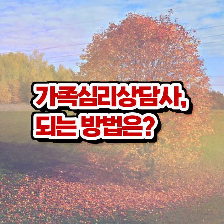  가족심리상담사자격증 , 가족심리상담사 자격증 단기간에 준비한 방법 요점정리
