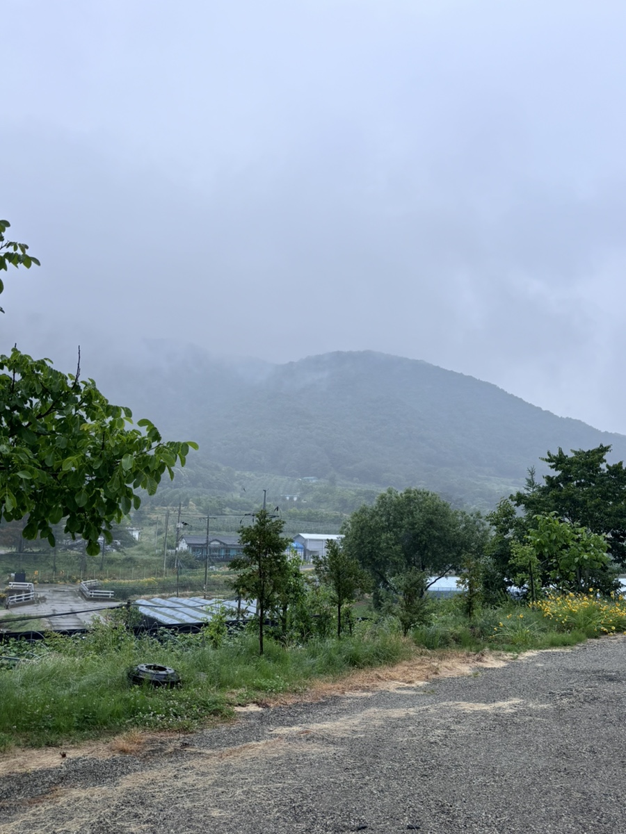 바람의정원 사진 3