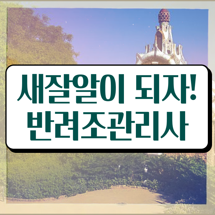  코뉴어 앵무새 , 반려조관리사 자격증 준비한 방법 여기서 확인하세요