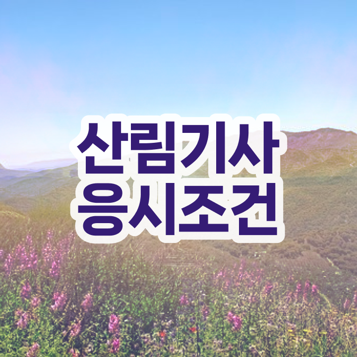  산림기사 시험일정 산림기사 응시조건 학점은행제로 1학기 만에 준비한 전략