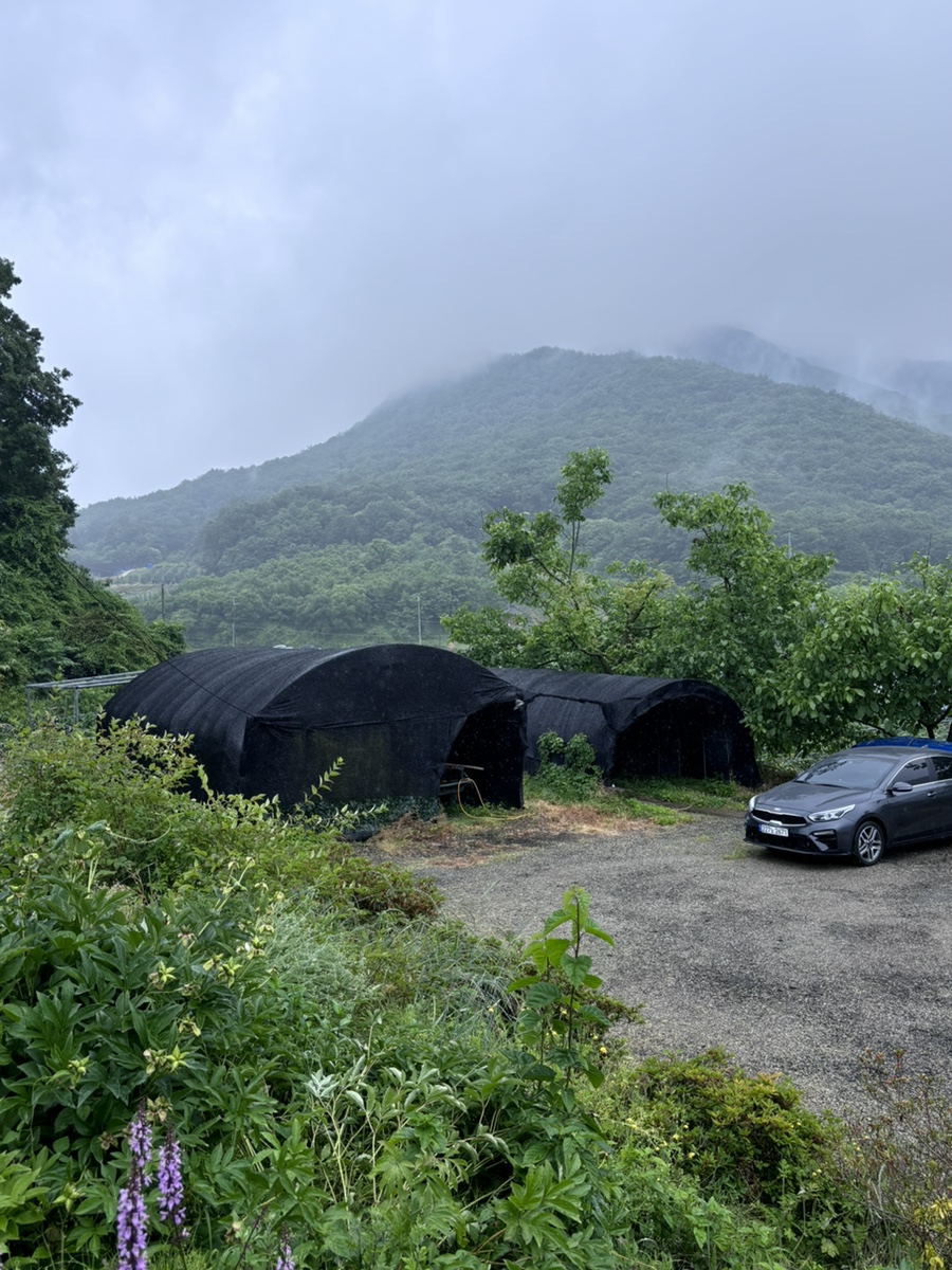 바람의정원 사진 4