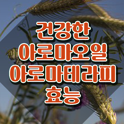  아로마뷰티diy지도사 무료 교육 , 아로마뷰티DIY지도사 자격증 취득했던 후기 여기서 확인하세요