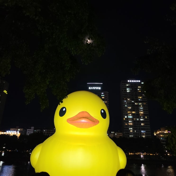  블로그를 하면 좋은 점