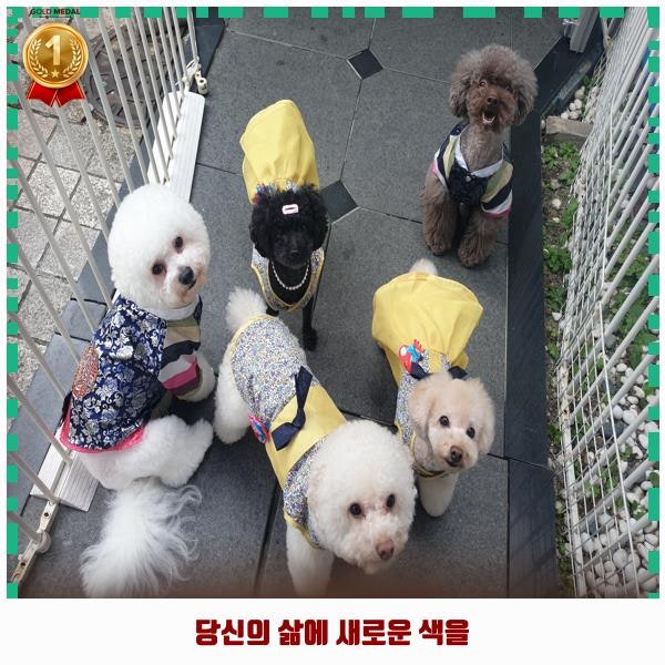 사진 5