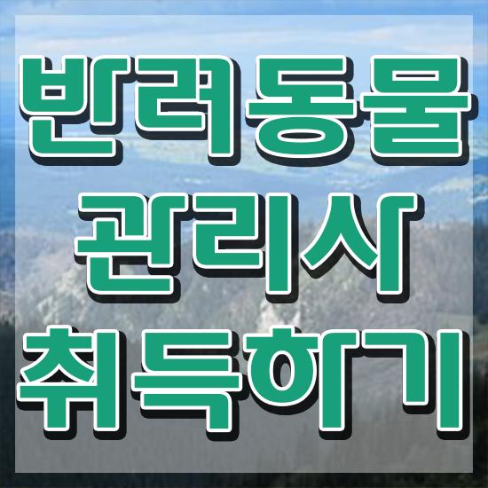  반려견운동자격증 , 반려동물관리사 자격증 비용없이 온라인으로 합격한 팁 정리해드립니다