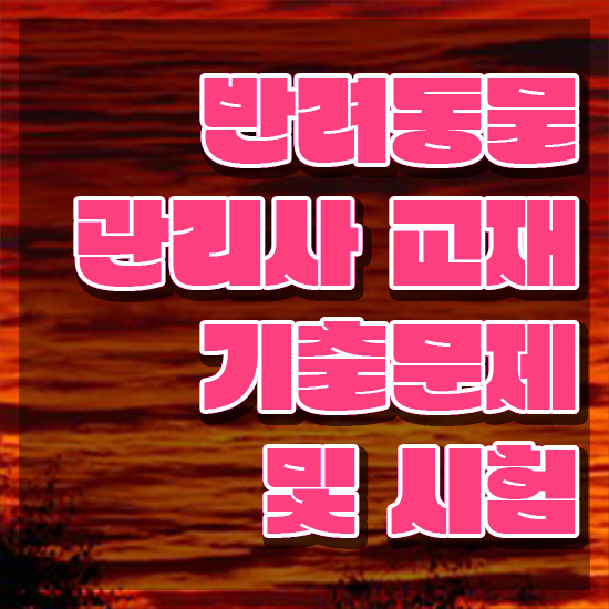  반려견행동교정전문가 , 반려동물관리사 자격증 준비한 과정 궁금증 해결
