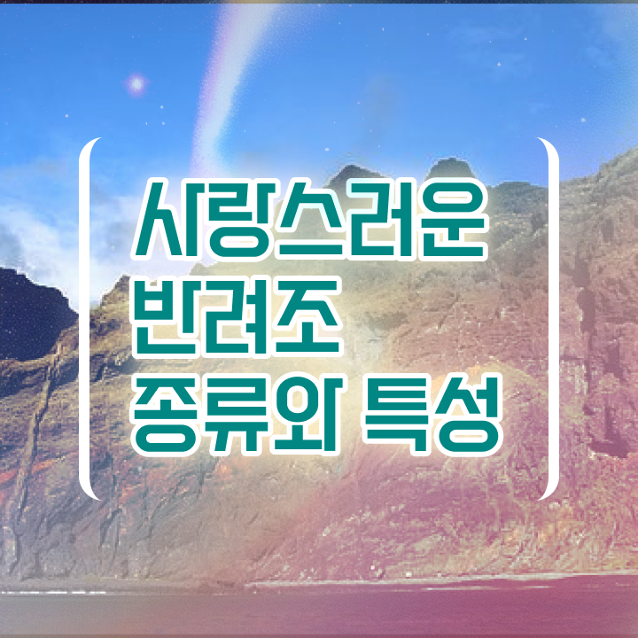  앵무새 인형 , 반려조관리사 자격증 준비한 과정 여기만 보세요