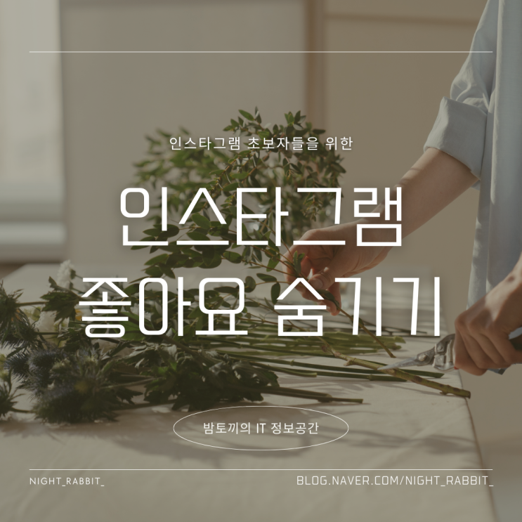  인스타그램 좋아요 숨기기