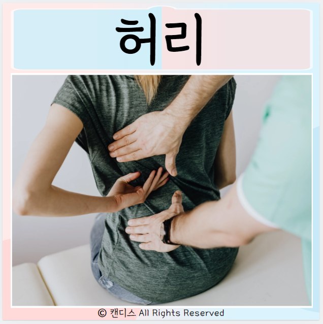  허리디스크 척추협착증 추간공확장술 이란?