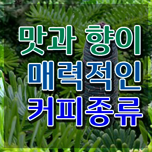  바리스타2급필기시험 , 바리스타 자격증 간단하게 합격한 팁 보고가세요