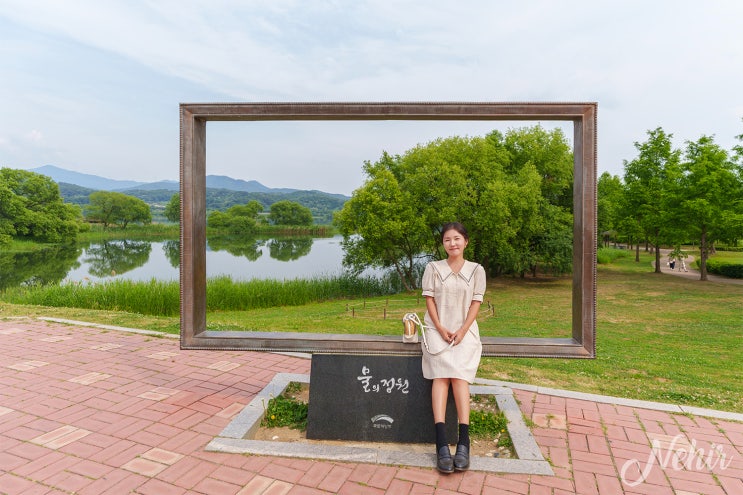 남양주 갈만한곳 물의정원 양귀비 남양주 볼거리 피크닉장소 남양주 갈만한곳 물의정원 양귀비 남양주 볼거리 피크닉장소