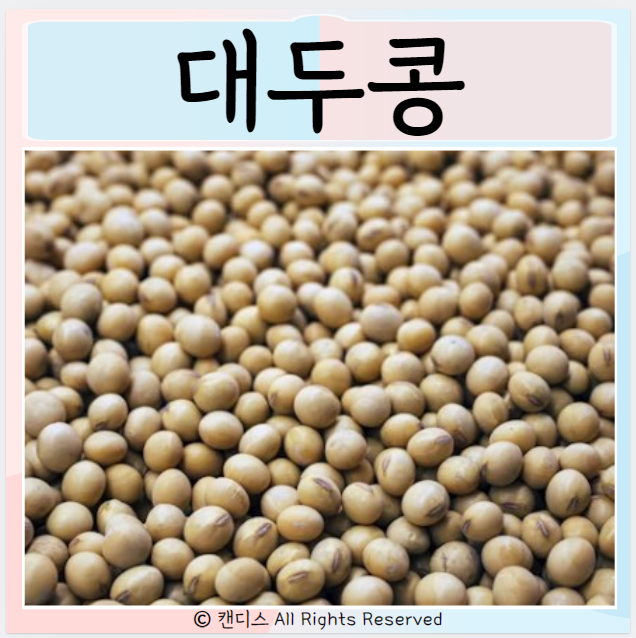  대두콩 효능 먹으면 좋은점 부작용