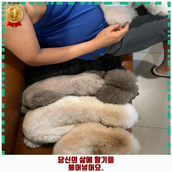 사진 6