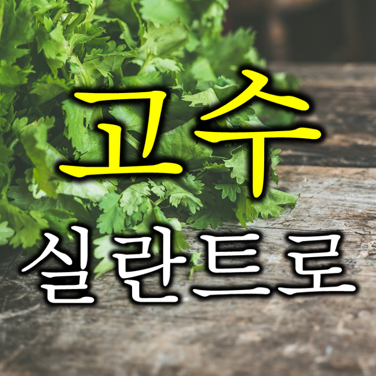  호불호가 갈리는 고수 영어로는? (feat. 실란트로, cilantro)