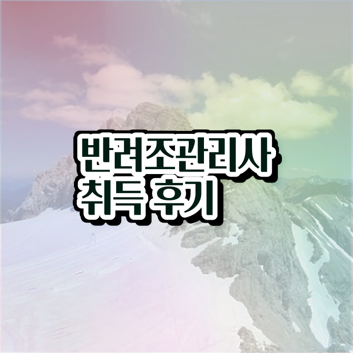  금강앵무새분양 , 반려조관리사 자격증 온라인으로 간단히 취득한 과정 여기서 확인하세요