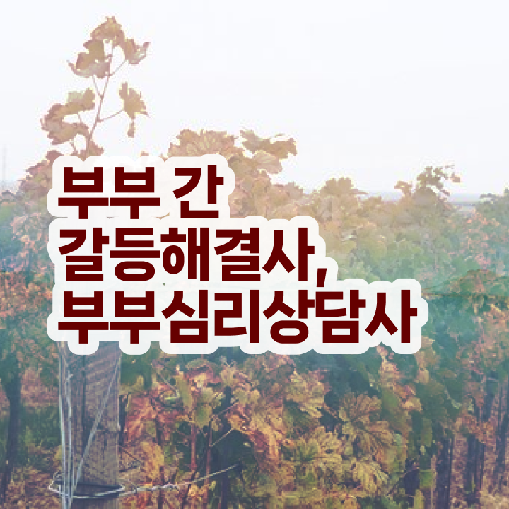  부부심리상담사1급자격증취득방법 , 부부심리상담사 자격증 응시자격 없이 합격한 전략 , 온라인 무료강의