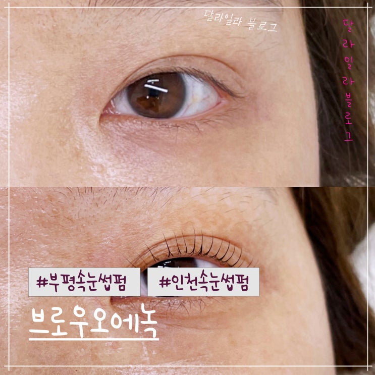  부평속눈썹맛집 눈시림없는 속눈썹펌 브로우오에녹 대만족 후기