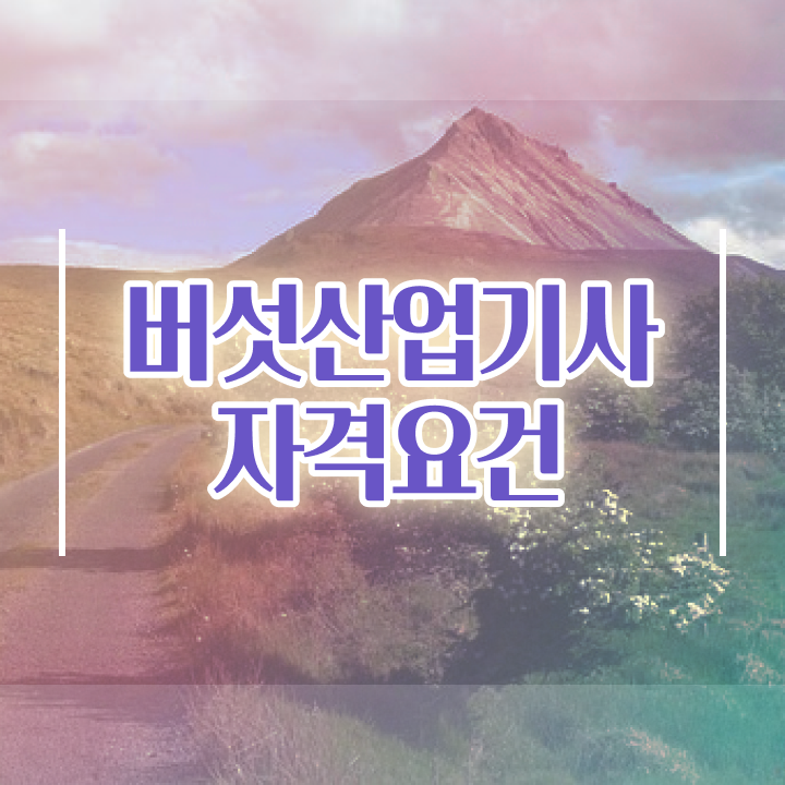  버섯산업기사 취득자격 학점은행제로 간단하게 끝낸 방법
