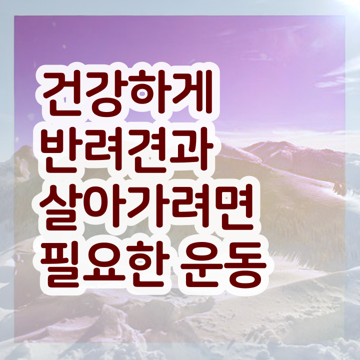  반려견운동지도사 무료 인강 , 한달 만에 반려견운동지도사자격증 취득 노하우
