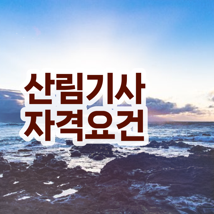 산림 기사학원 산림기사 취득자격 온라인 과정으로 4개월 만에 성공한 전략