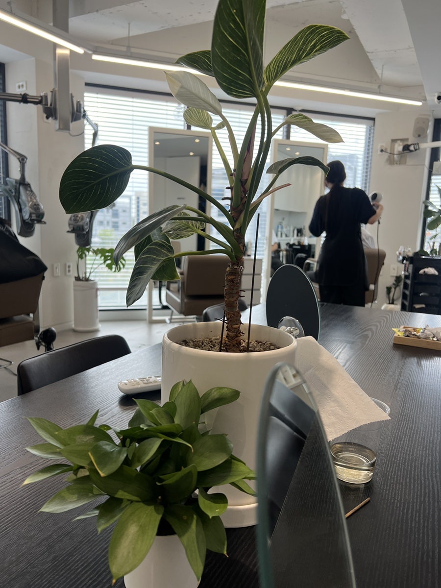살롱드우디 서산예천점 사진 2