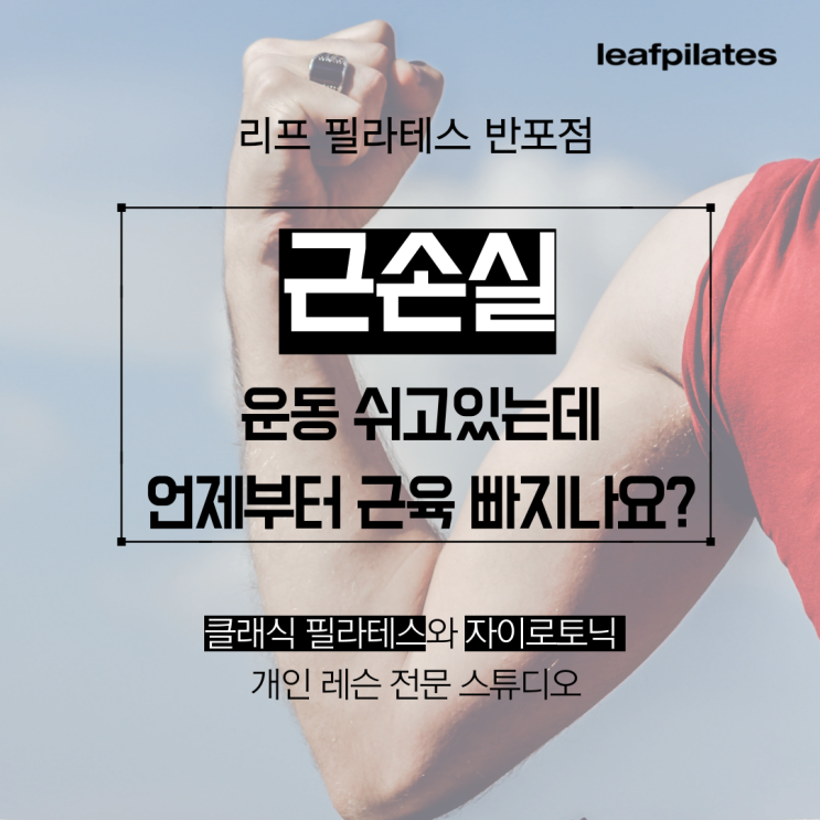  [신반포 필라테스] 운동 쉬면 언제부터 근육 빠지나요?/ 반포필라테스 리프