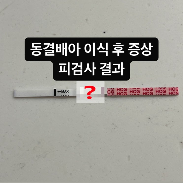  대구 미라클여성의원 동결배아 이식 후 증상 피검사 결과