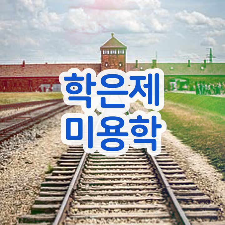  미용 자격증 종류 , 미용사 종합자격증 초단기로 취득하고 창업도 했어요