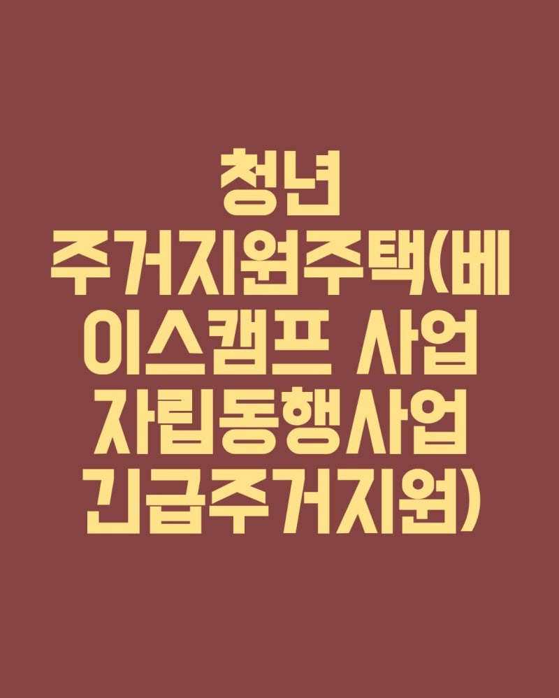 청년 주거 지원주택(베이스캠프사업 자립동행사업 긴급 주거지원사업 개별 맞춤형 통합지원....