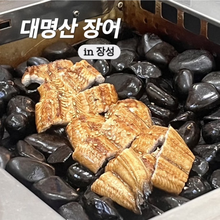  장성 가볼만한 곳 장어는 여기가 최고 대명산장어