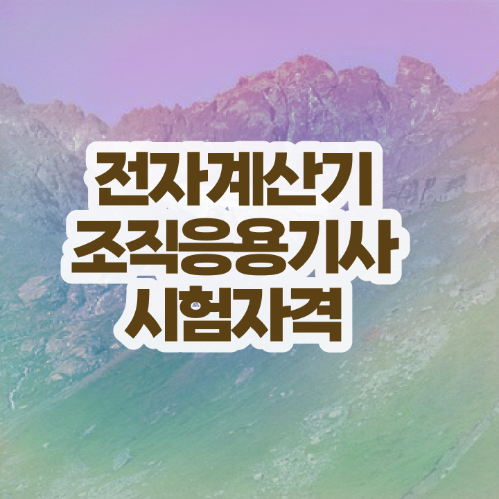  전자계산기조직응용기사 취득자격 집에서 온라인으로 빠르게 준비한 후기