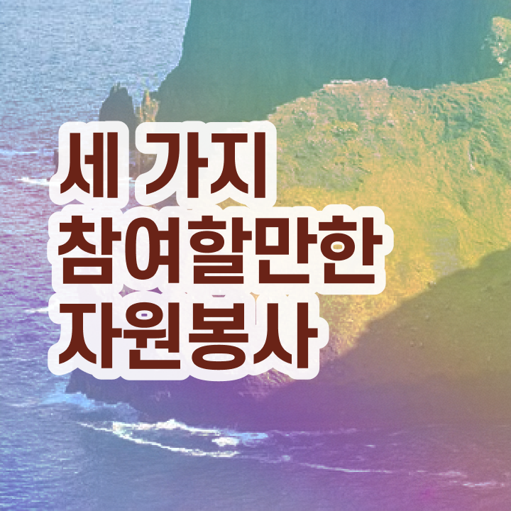  자원봉사 후기 , 자원봉사지도사 자격증 온라인으로 취득한 노하우 및 활용 방법