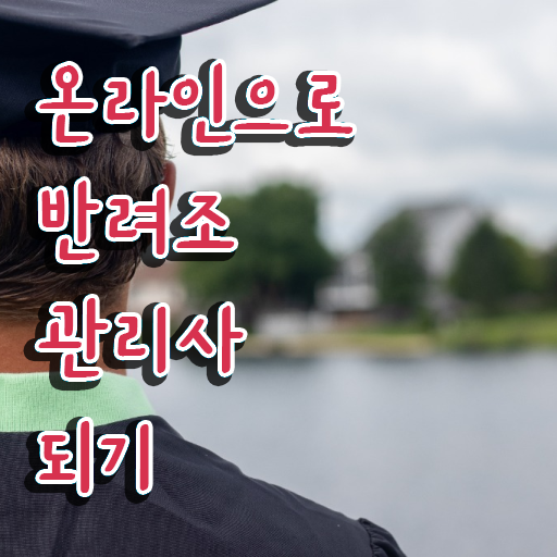  사랑앵무 윙컷 , 반려조관리사 자격증 단기간에 학습한 후기 및 온라인 무료강의